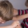 Sibling Rivalry